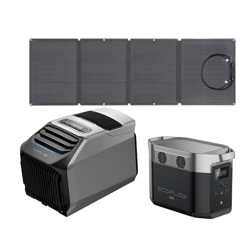 EcoFlow WAVE 2 Portable AC + DELTA Max 1600 + 110W Portable Solar Panel